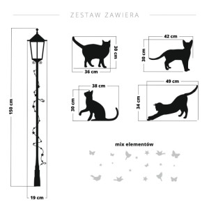 koty z lampą 2.jpg