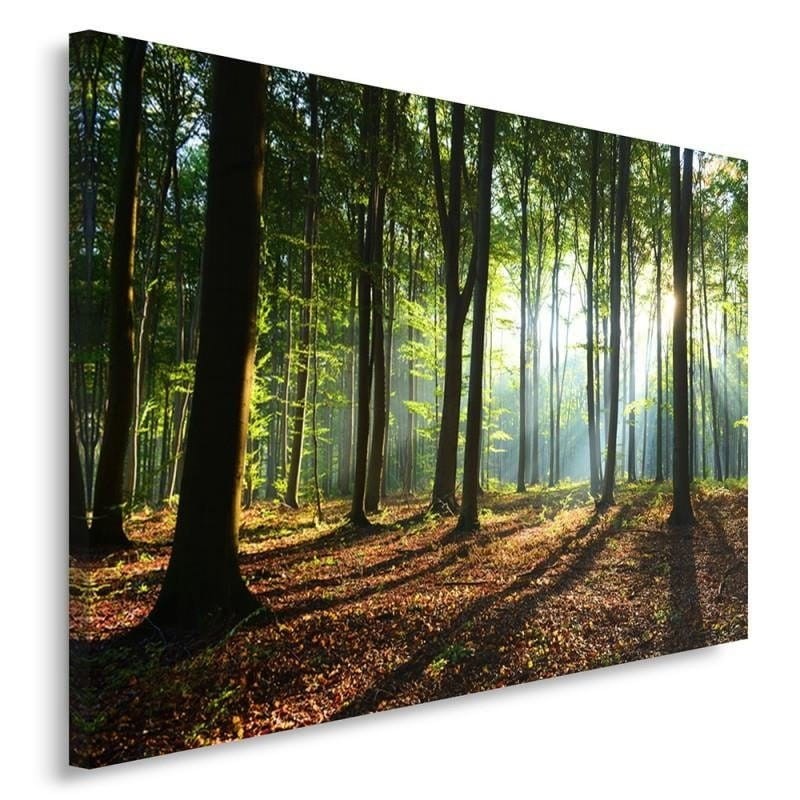 pol_pl_Obraz-na-plotnie-Canvas-Promienie-slonca-w-lesie-7977_2.jpg