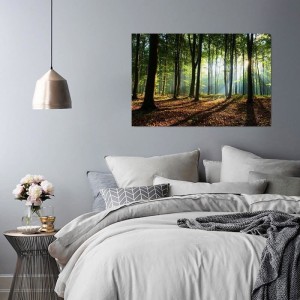 pol_pl_Obraz-na-plotnie-Canvas-Promienie-slonca-w-lesie-7977_3.jpg