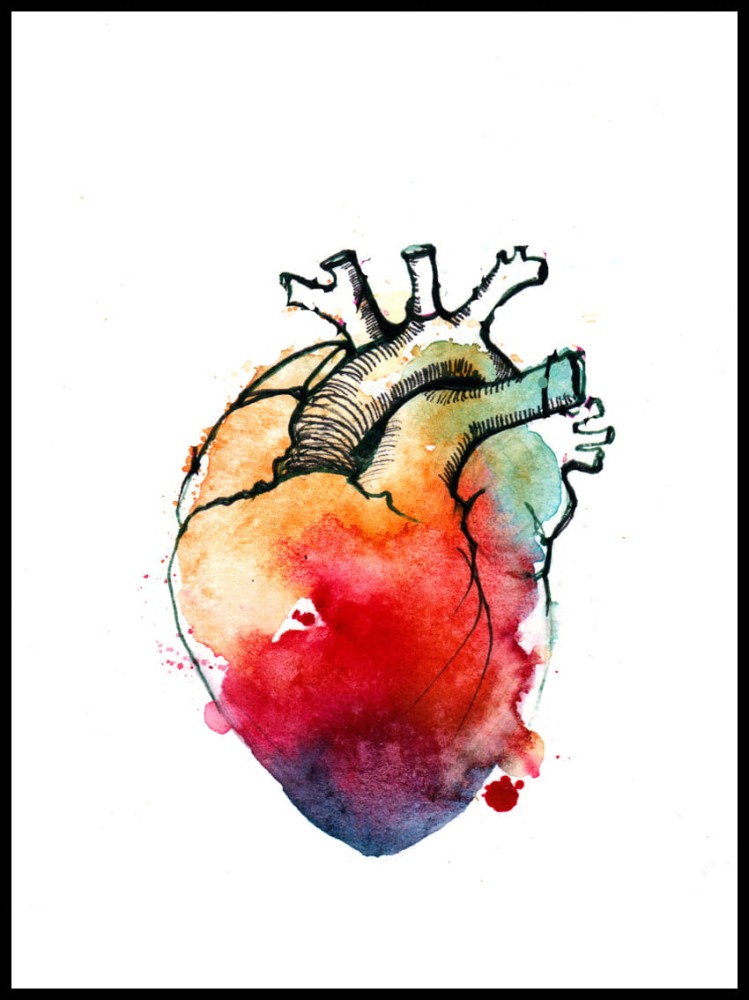 serce anatomiczne czyste w ramce.jpg