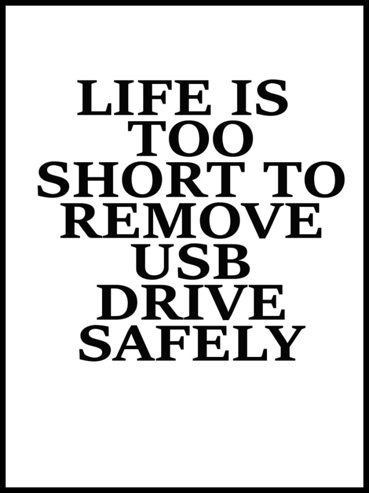 life is too short USB w ramcee.jpg