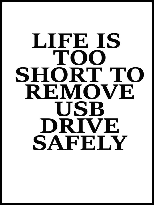 life is too short USB w ramcee.jpg