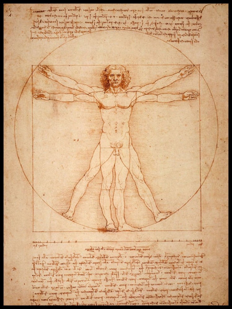 Anatomia w ramcee.jpg