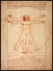 Anatomia w ramcee.jpg