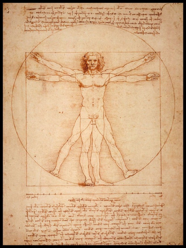 Anatomia w ramcee.jpg