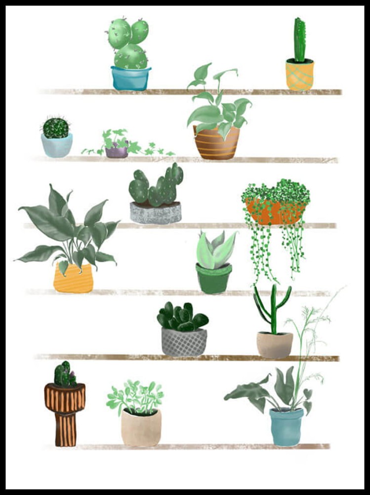 Rośliny w ramcee.jpg