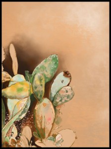 kaktusy w ramcee.jpg