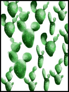 kaktusy1 w ramcee.jpg