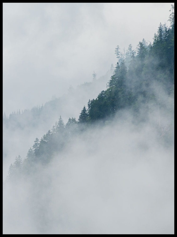 Mgła w górach w ramcee.jpg