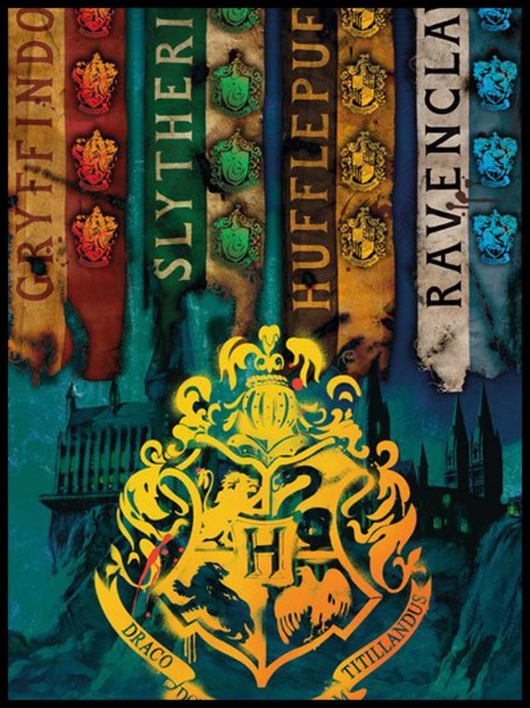 Harry Potter w ramcee.jpg