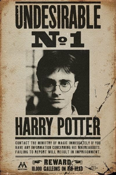 fp3228_harry_potter_undesirable_no_1.jpg