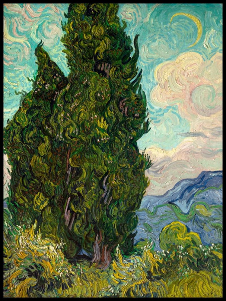 Cyprysy w ramcee.jpg