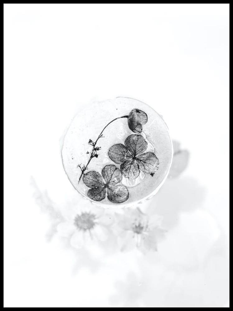 koniczyny w ramcee.jpg