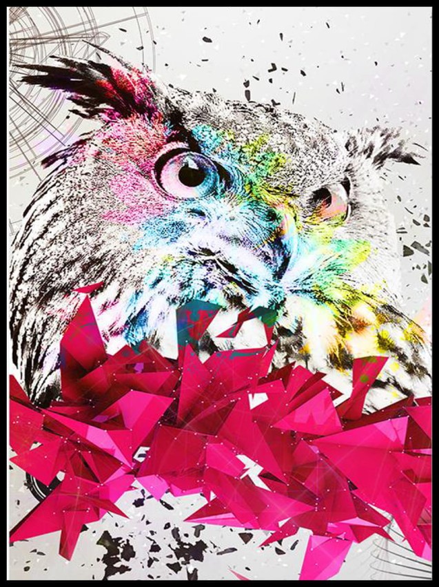 Sowa abstrakcja w ramcee.jpg