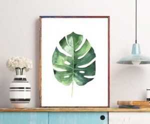 monstera.jpg