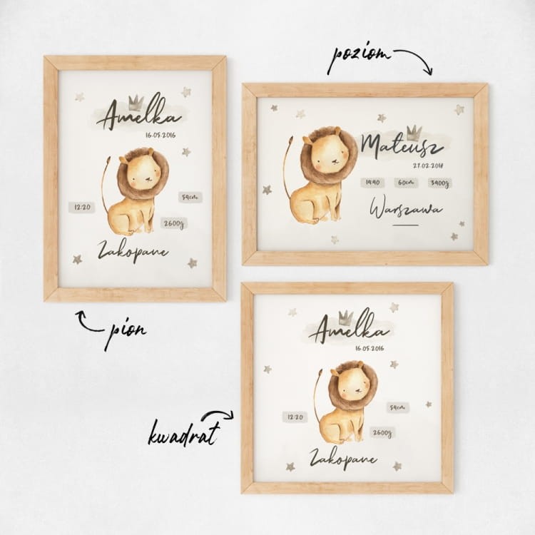 AMetryczka Safari1.jpg