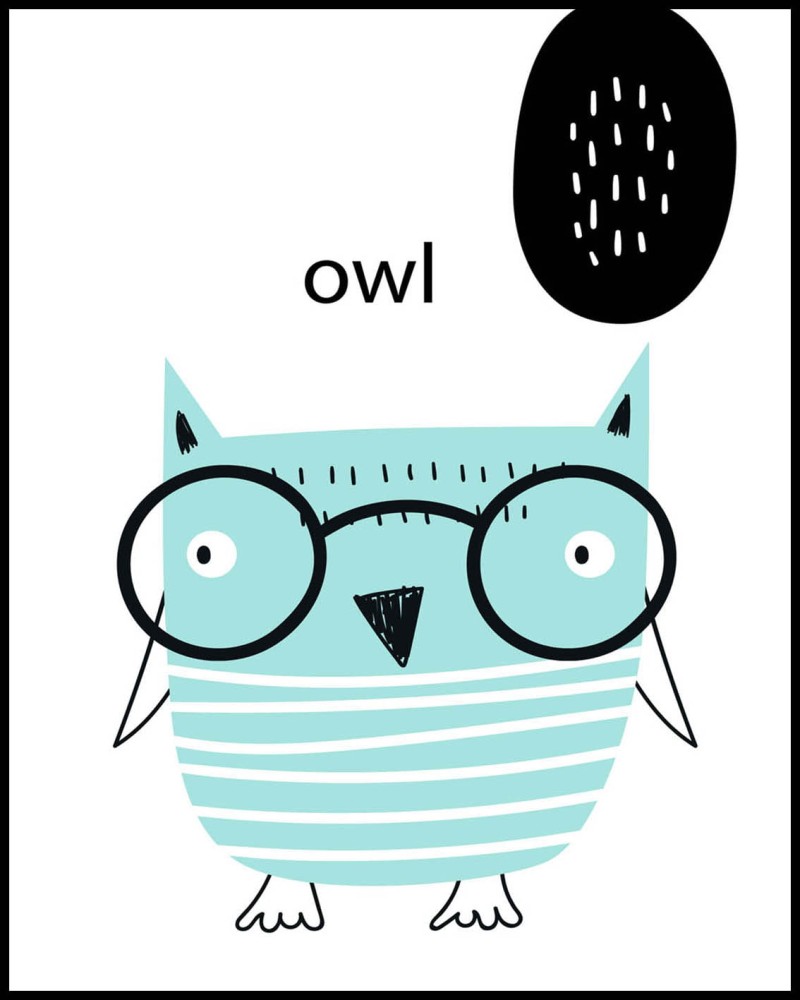O owl w ramcee.jpg