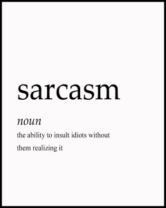 Sarcasm w ramcee.jpg