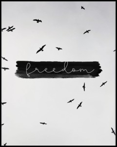 freedom w ramcee.jpg