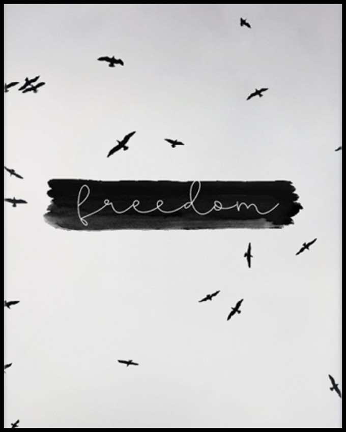 freedom w ramcee.jpg