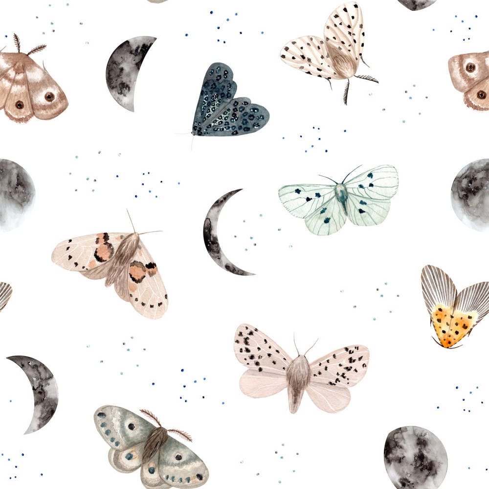 magic_butterly_white_tapeta.jpg