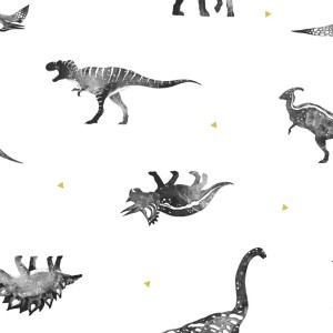 simple_dino_wzor-1024x1024.jpg