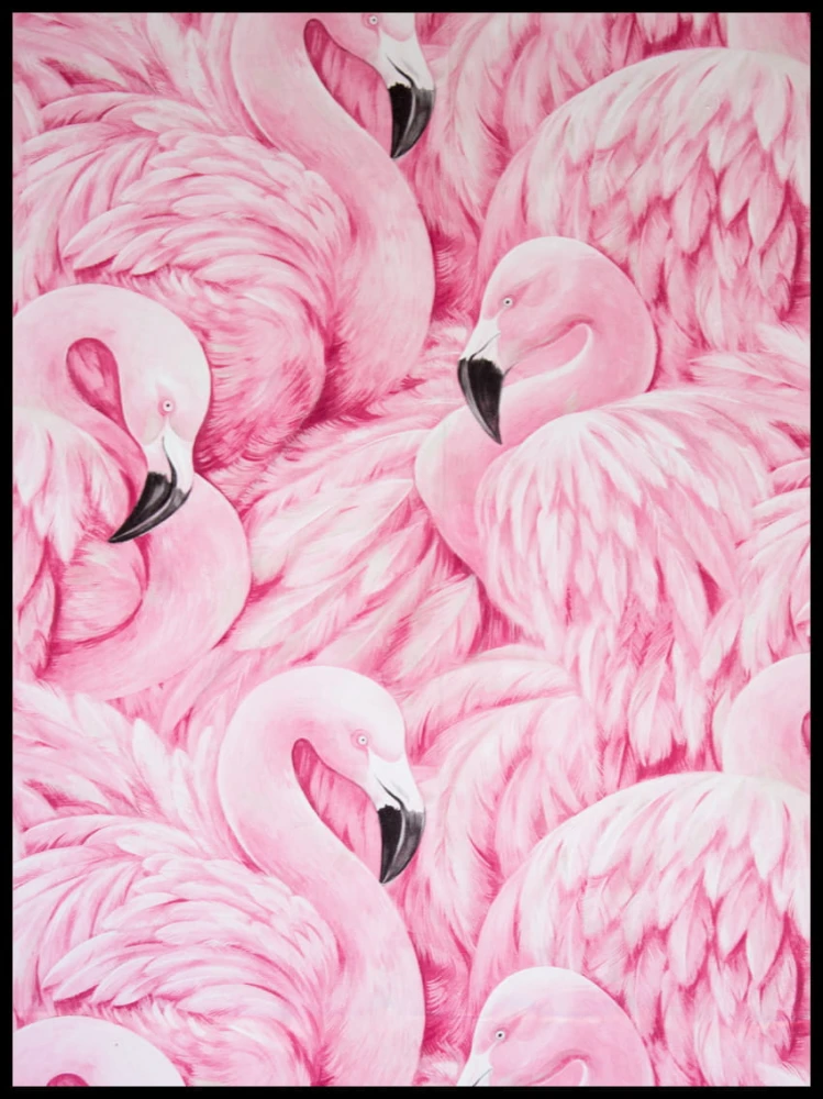 Flamingi w ramcee 1.jpg