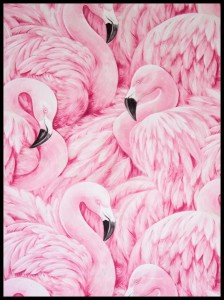 Flamingi w ramcee 1.jpg