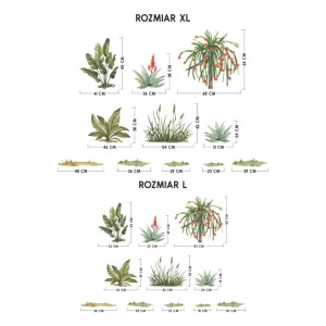 Rosliny Safari 3.jpg