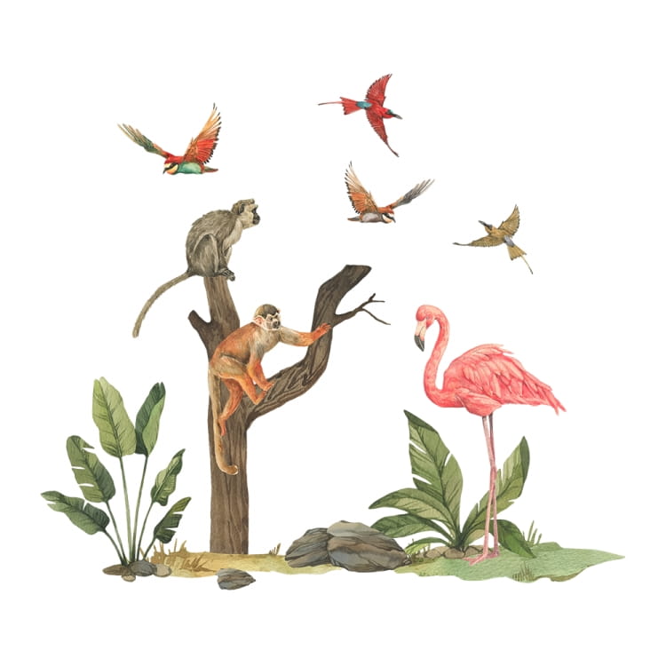 Flaming, małpy 1.jpg