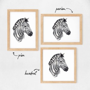 Zebra 2.jpg