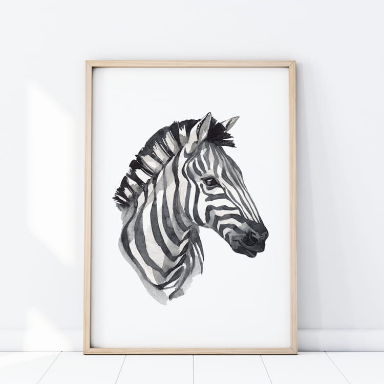 Zebra.jpg