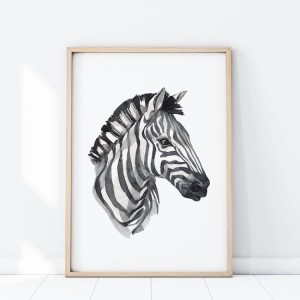 Zebra.jpg
