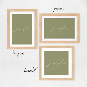 jungle plakat 2.jpg