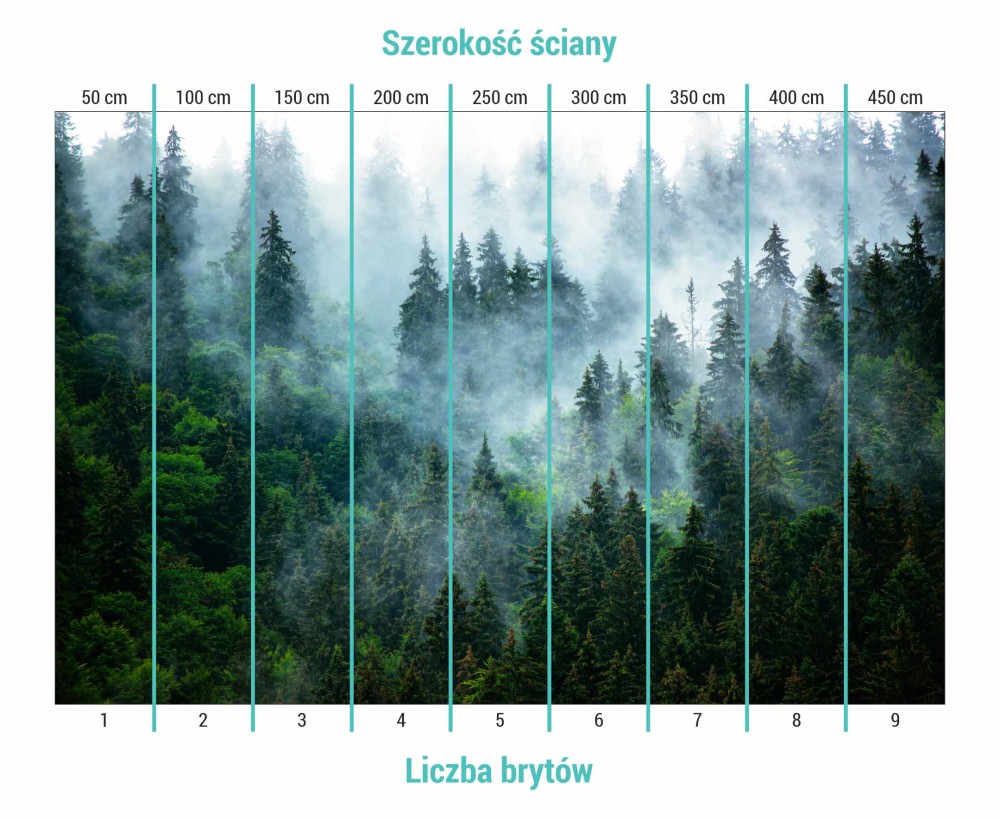 Fototapeta-las-we-mgle-przedstawiajaca-podzial-na-bryty. (1).jpg