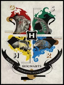 harry potter w ramcee 1.jpg