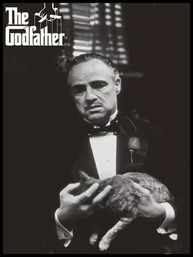 Ojciec Chrzestny Don w ramcee 1.jpg