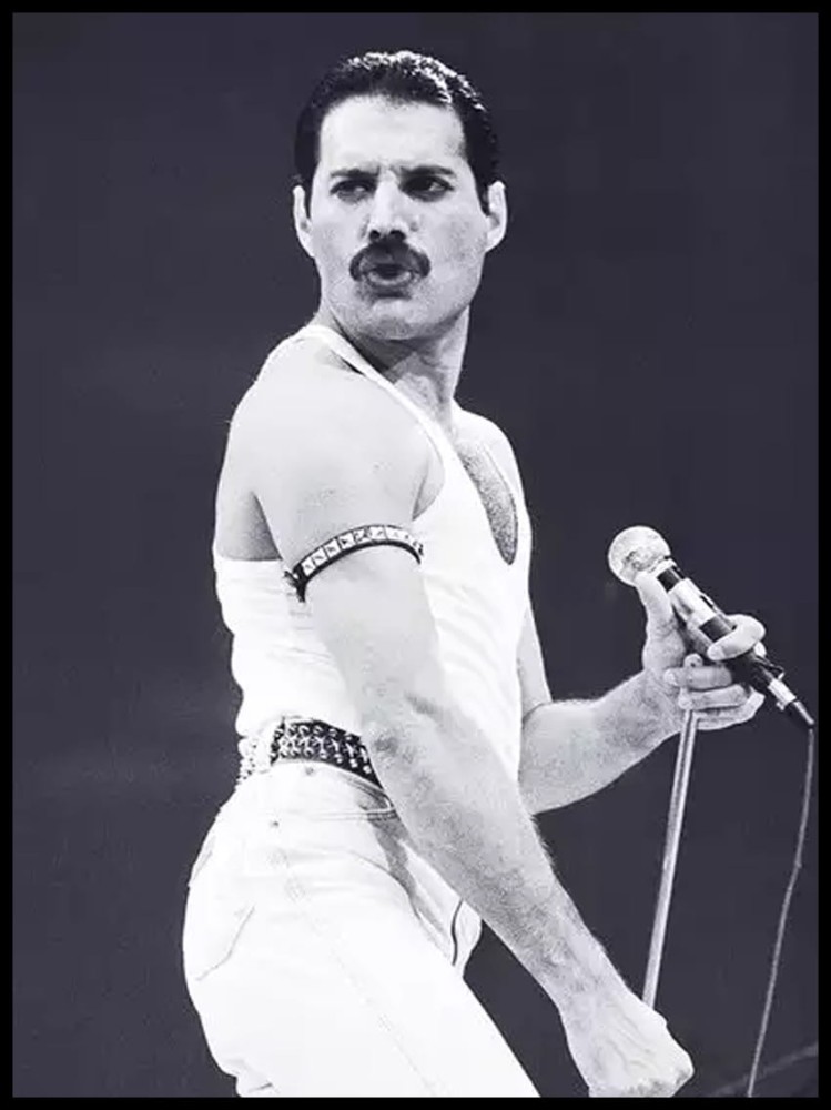 Queen Freddie Mercury w ramcee 1.jpg