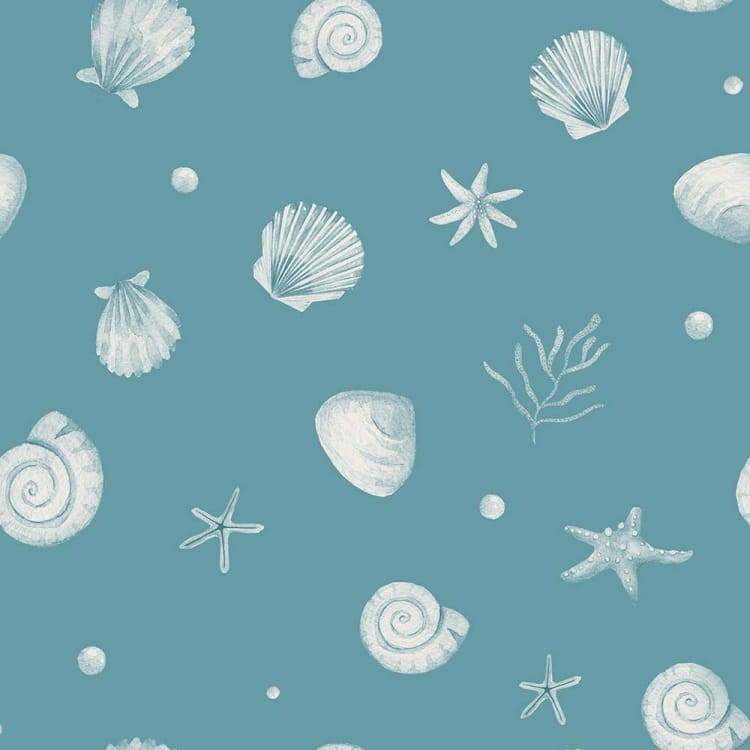 Tapeta Muszle 1.jpg