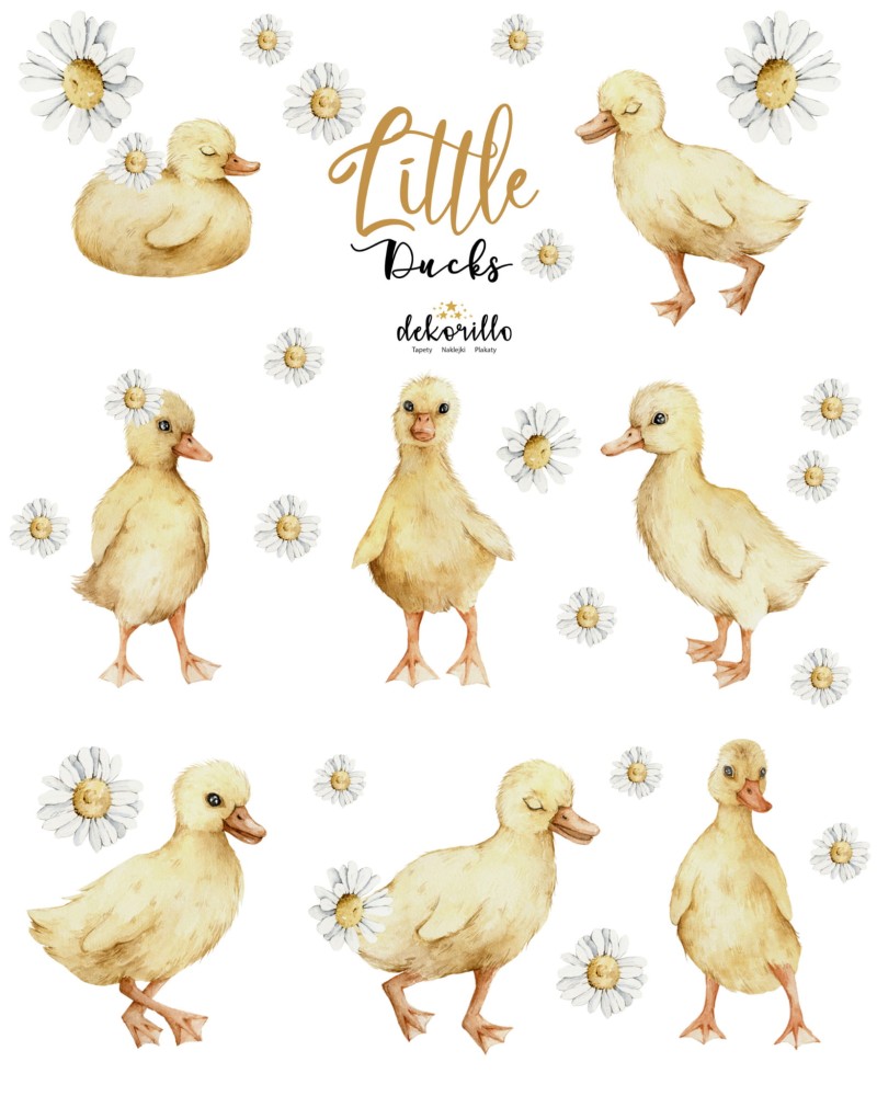 naklejki-little-ducks-dekorillo-scaled.jpg