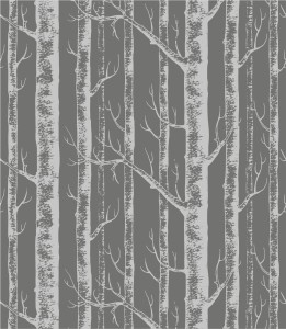 Tapeta-w-smukle,-delikatne-brzozy-na-ciemnoszarym-tle..jpg