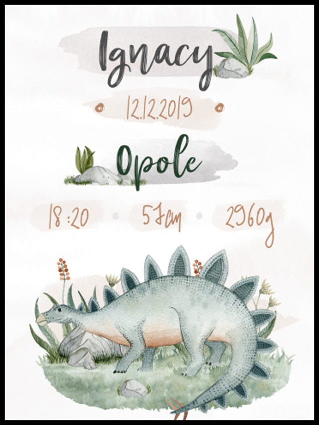 metryczka dinozaur w ramcee 1.jpg