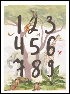 cyfry safariw ramcee 1.jpg