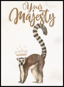 lemur w ramcee 1.jpg