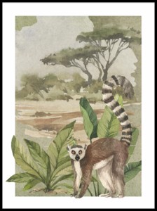 Lemur w ramcee 1a.jpg