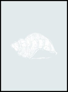 muszla pastelowa w ramcee 1.jpg