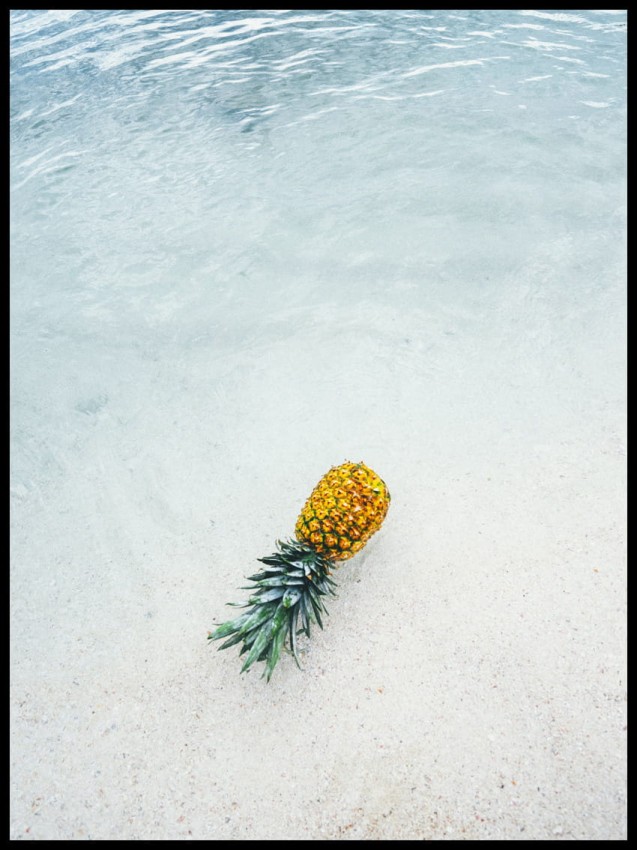 Ananas w ramce.jpg