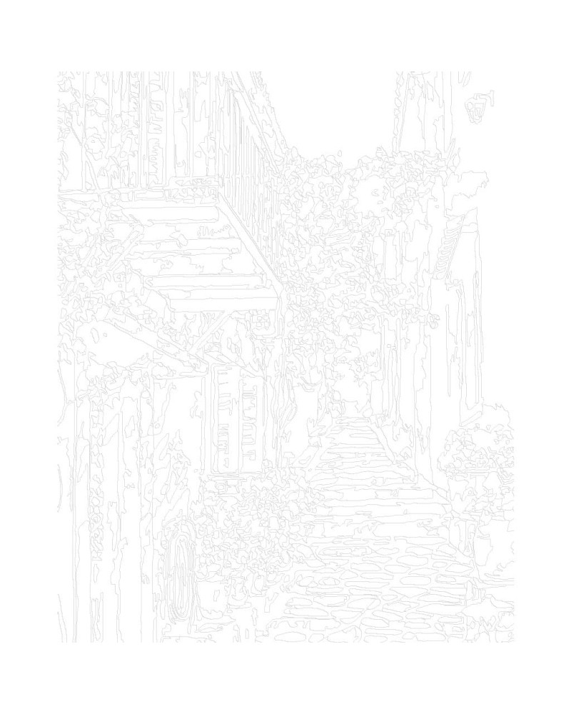 18421-1_malowanie-po-numerach---hiszpanska-uliczka-w-kwiatach.gif