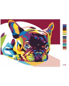 15289-4_malowanie-po-numerach---kolorowy-bulldog.png