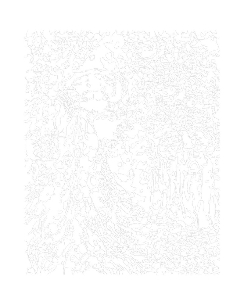 15583-1_malowanie-po-numerach-kobieta-z-parasolem.gif